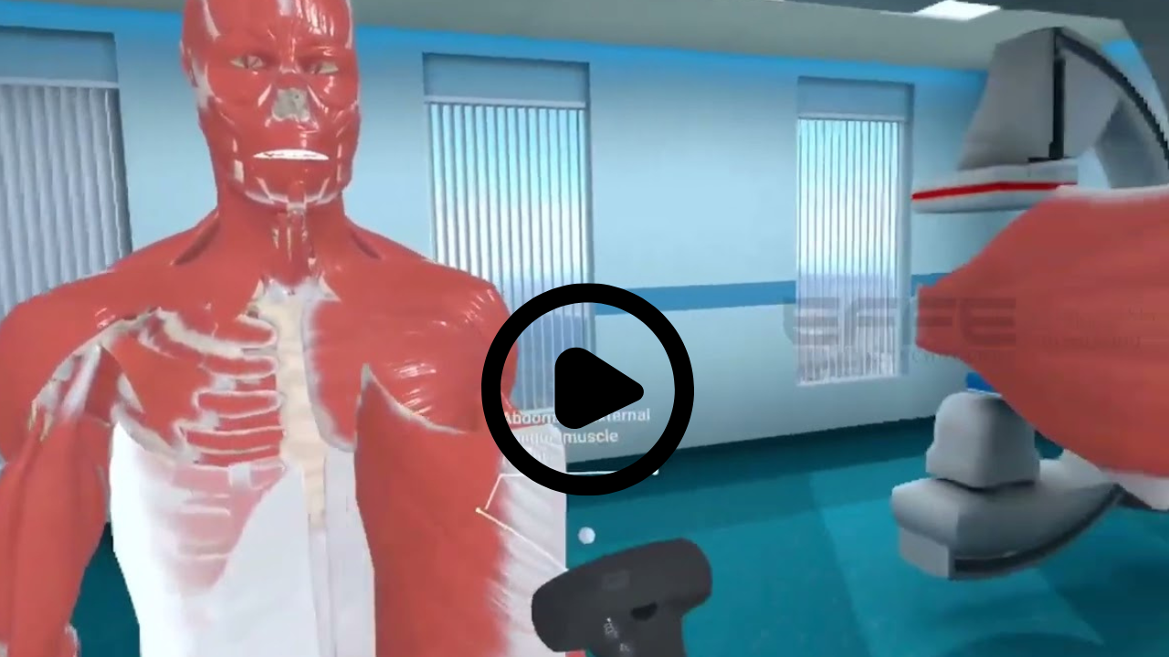 vr human body