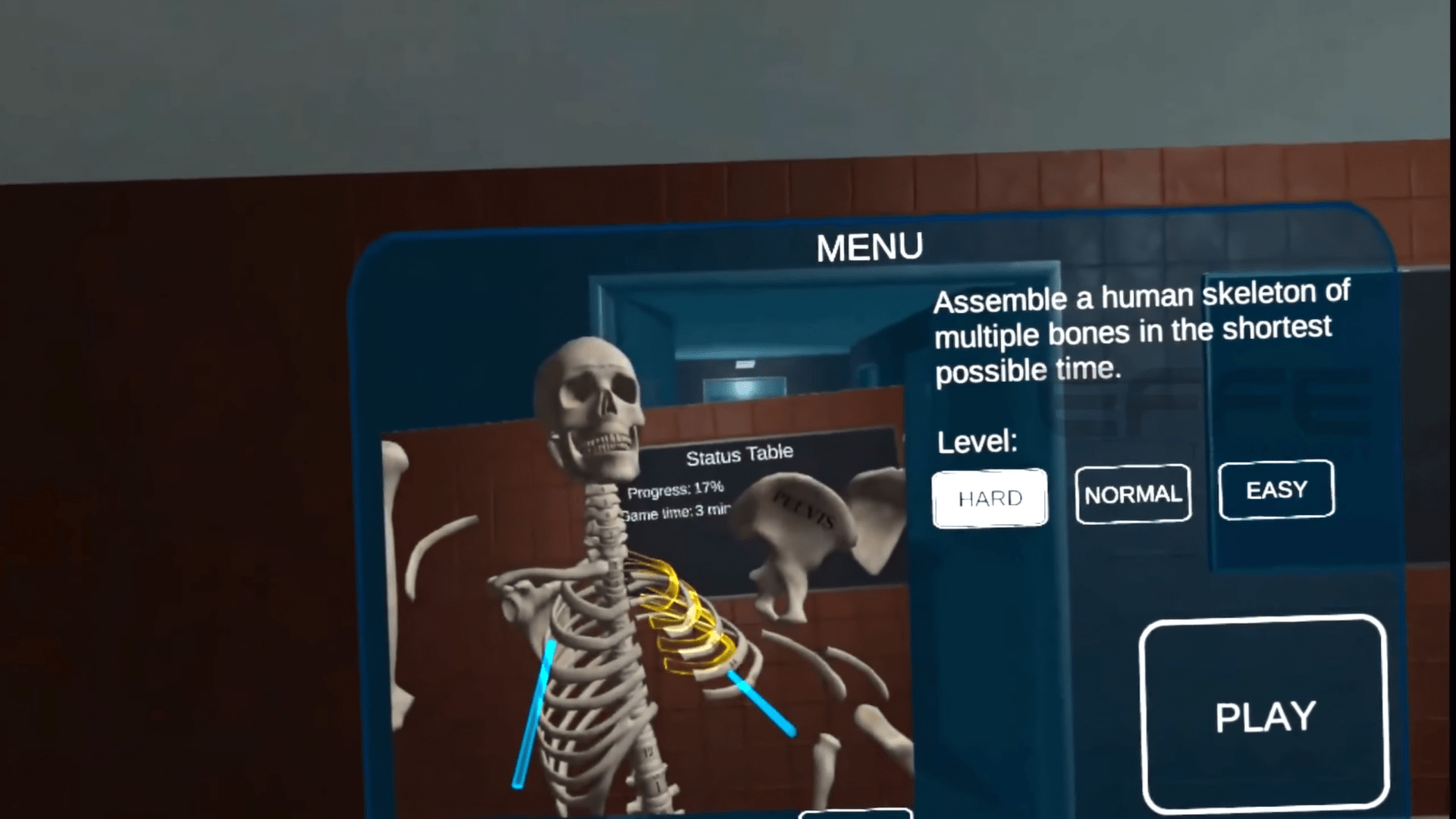 Human Skeleton in VR