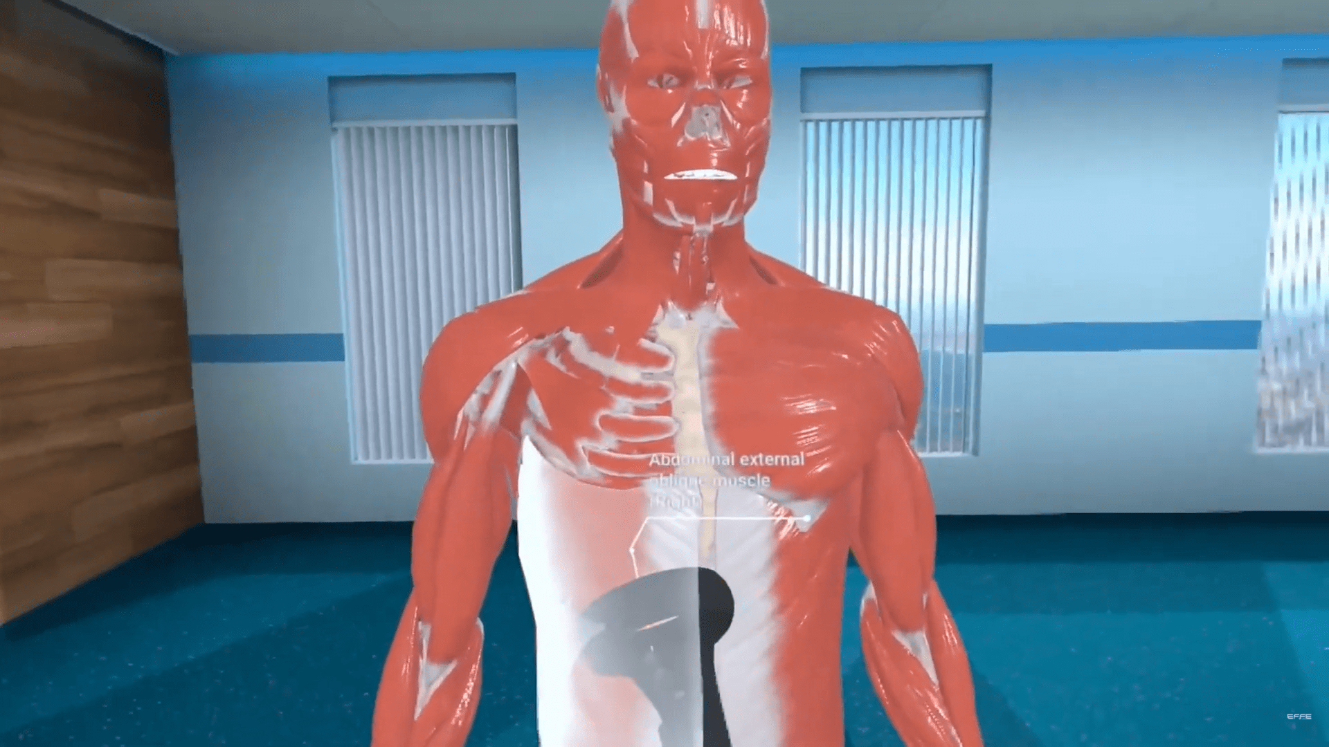  VR Human Anatomy