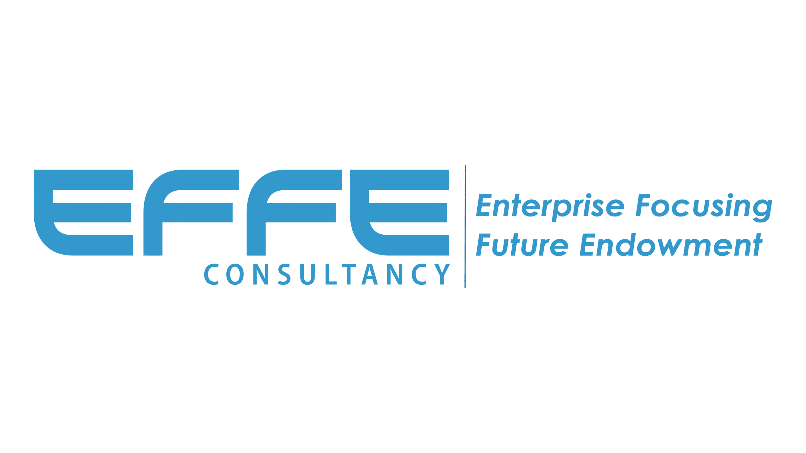 effe consultancy logo