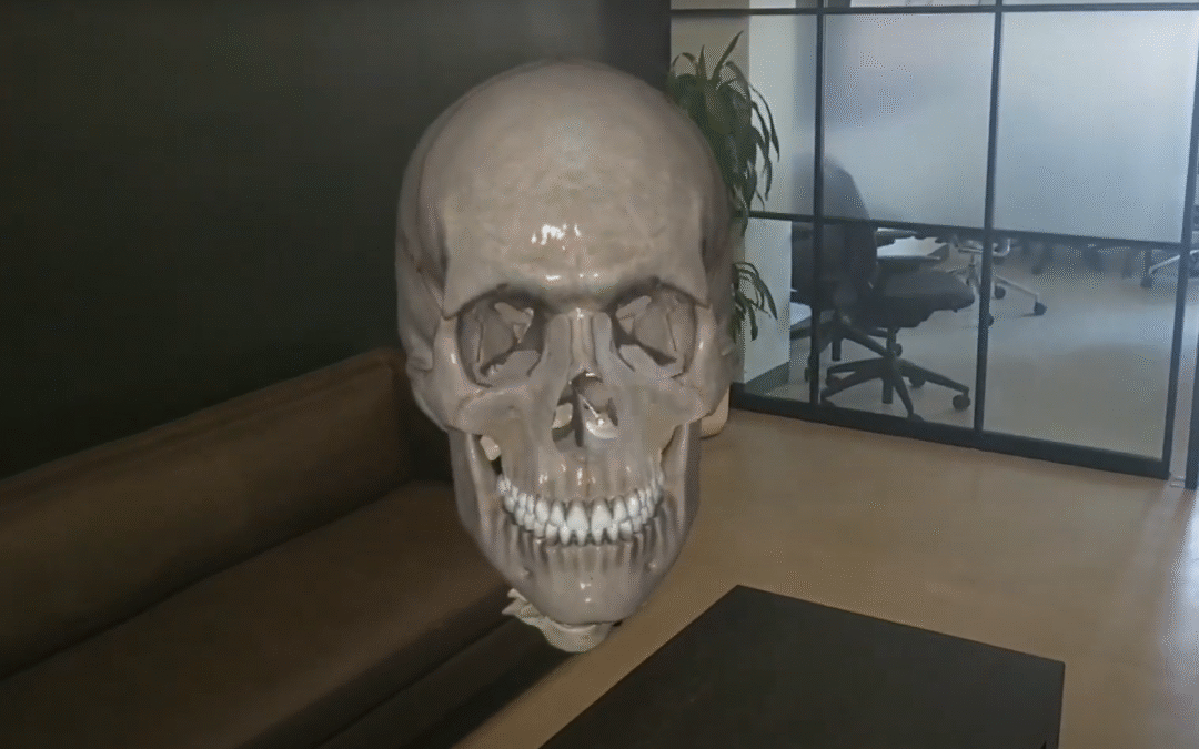 Transforming Medical Learning with Augmented Reality in Anatomy |EFFE Technology