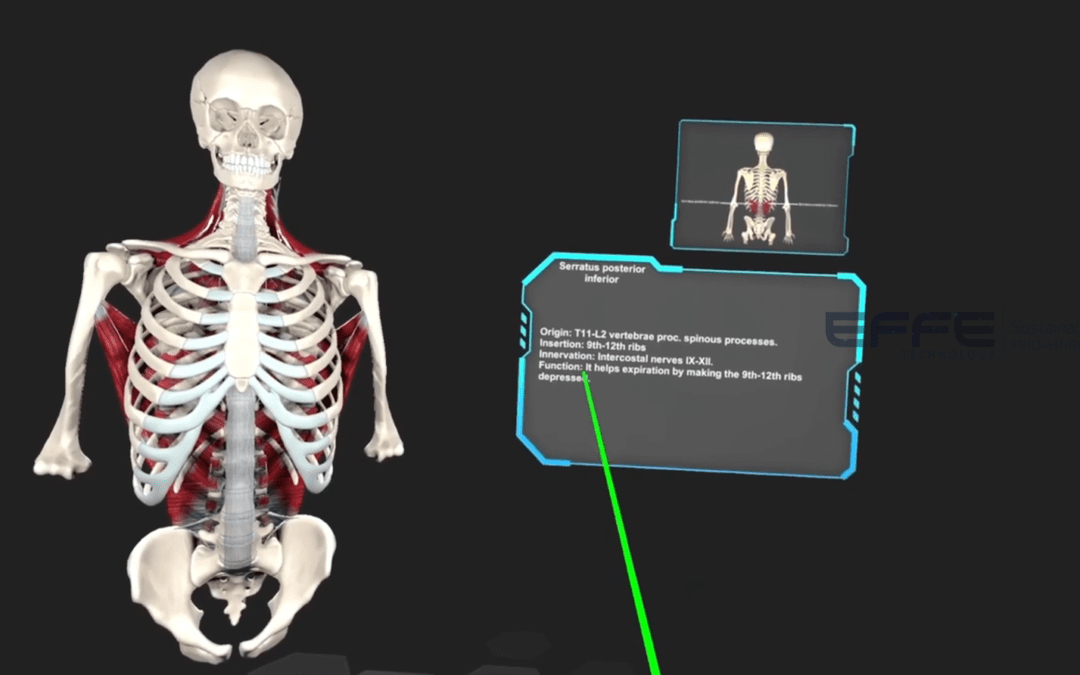 Best VR Anatomy Platform for Allied Health Programs: Immersive Bone Structure Exploration