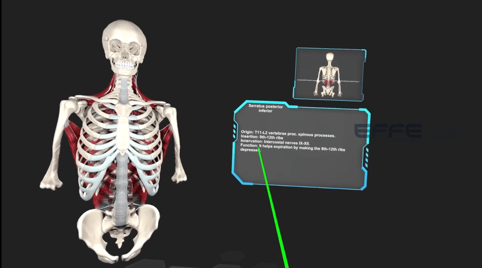 Best vr anatomy