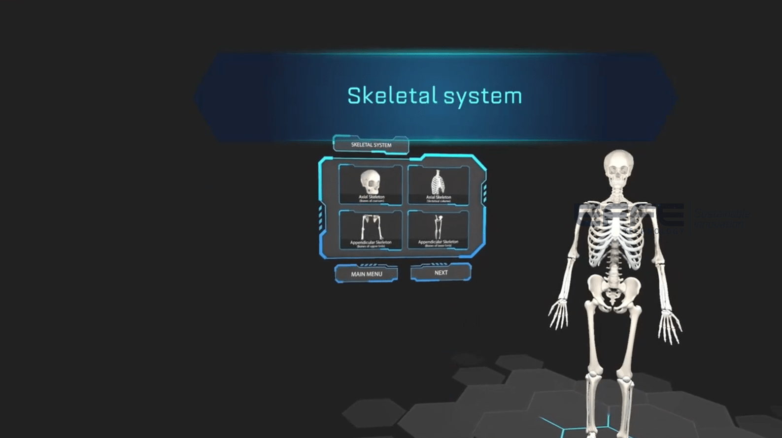 Best vr anatomy