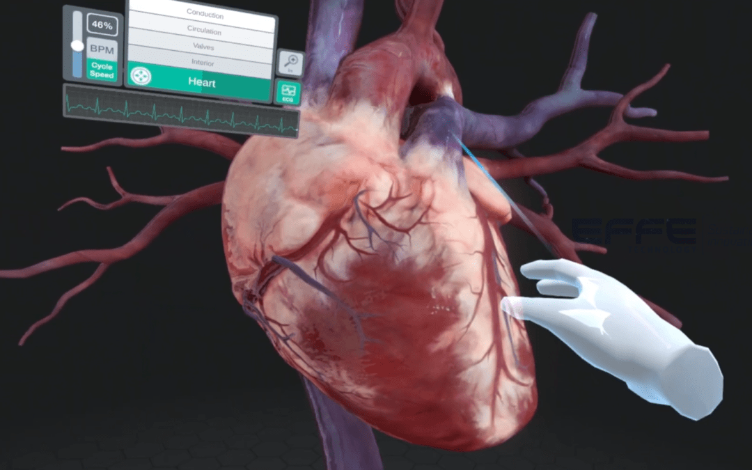 Cardiac Anatomy VR Simulation for Hospitals: Real-Time Pumping Heart 3D Model for Clinical Training