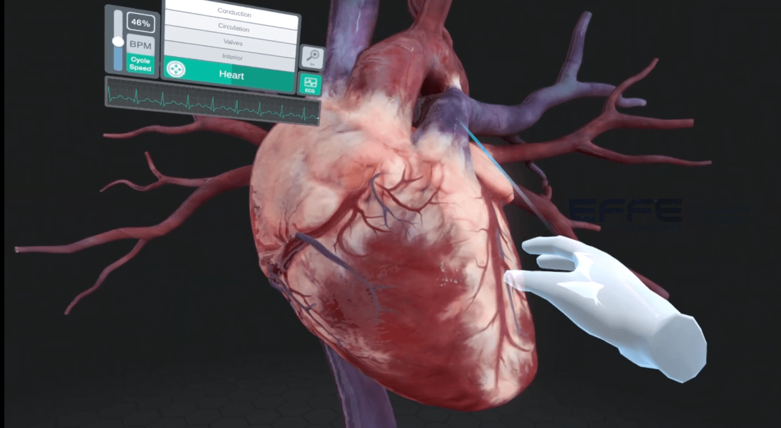 cardiac anatomy VR simulation