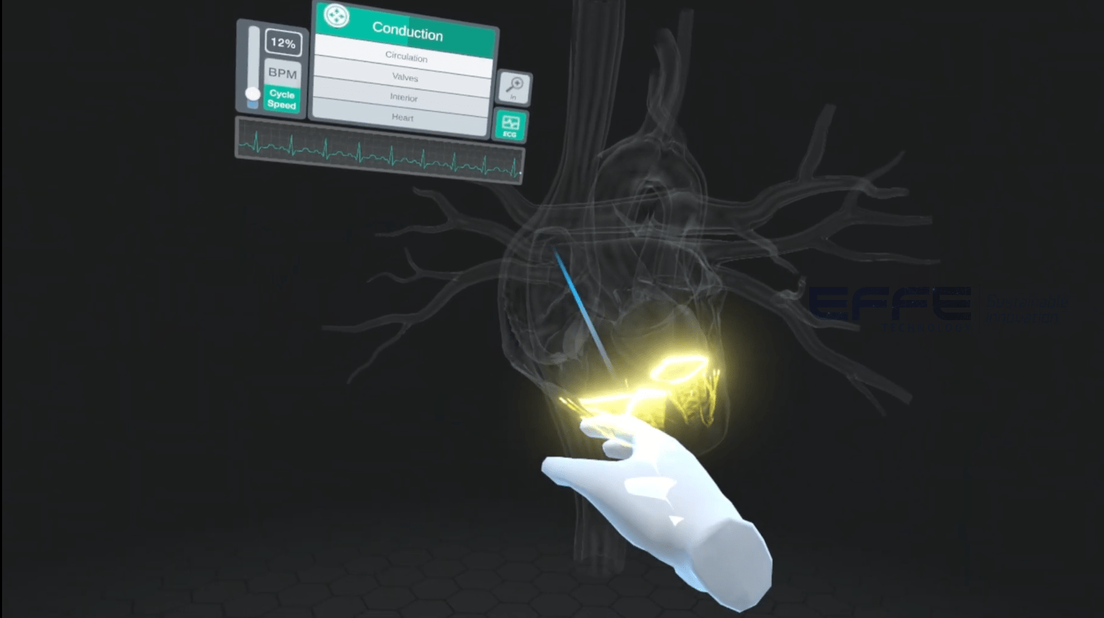 cardiac anatomy VR simulation