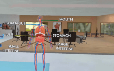 Digestive System VR Walkthrough | Interactive Gastrointestinal VR Simulation Enhancing Medical Education