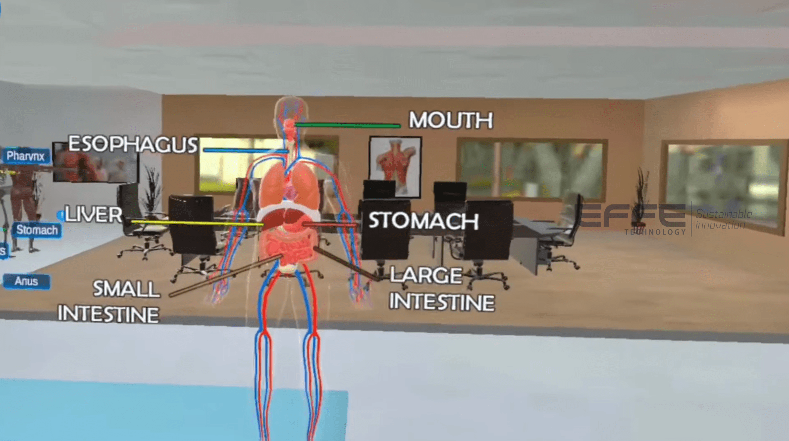 digestive system VR