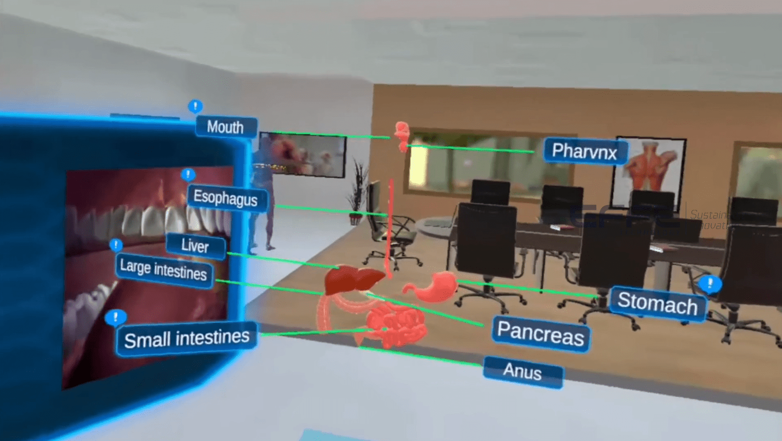digestive system VR