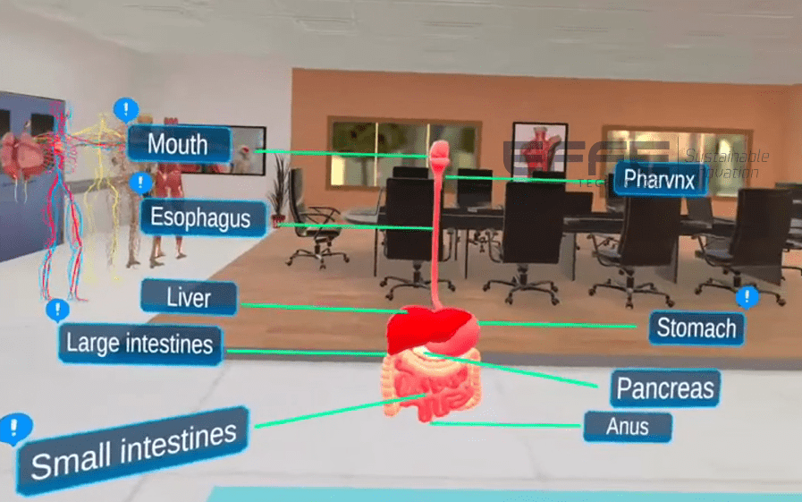 Gi anatomy vr training online