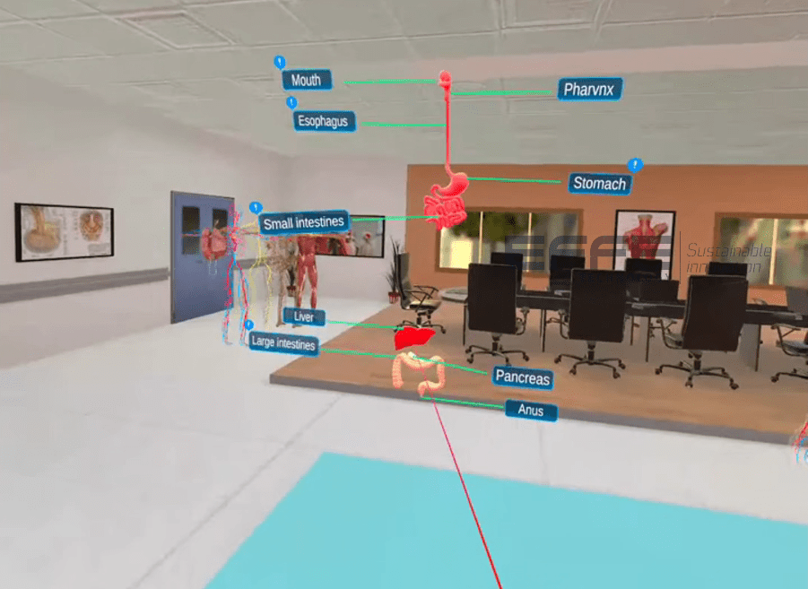 Gi anatomy vr training online