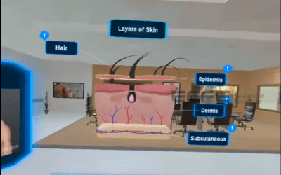 Integumentary System Function Explained in VR | Immersive Skin Anatomy VR Simulation for Healthcare Training Institutes