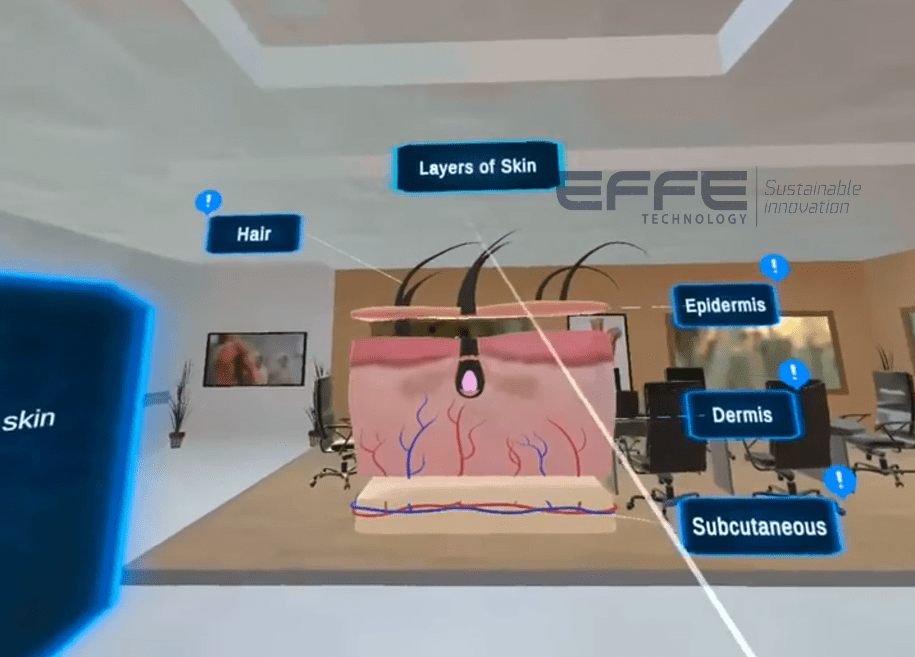 Integumentary system function