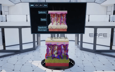 Integumentary System VR for Medical Universities | Immersive 3D Skin Anatomy Simulation Transforming Dermatology Education