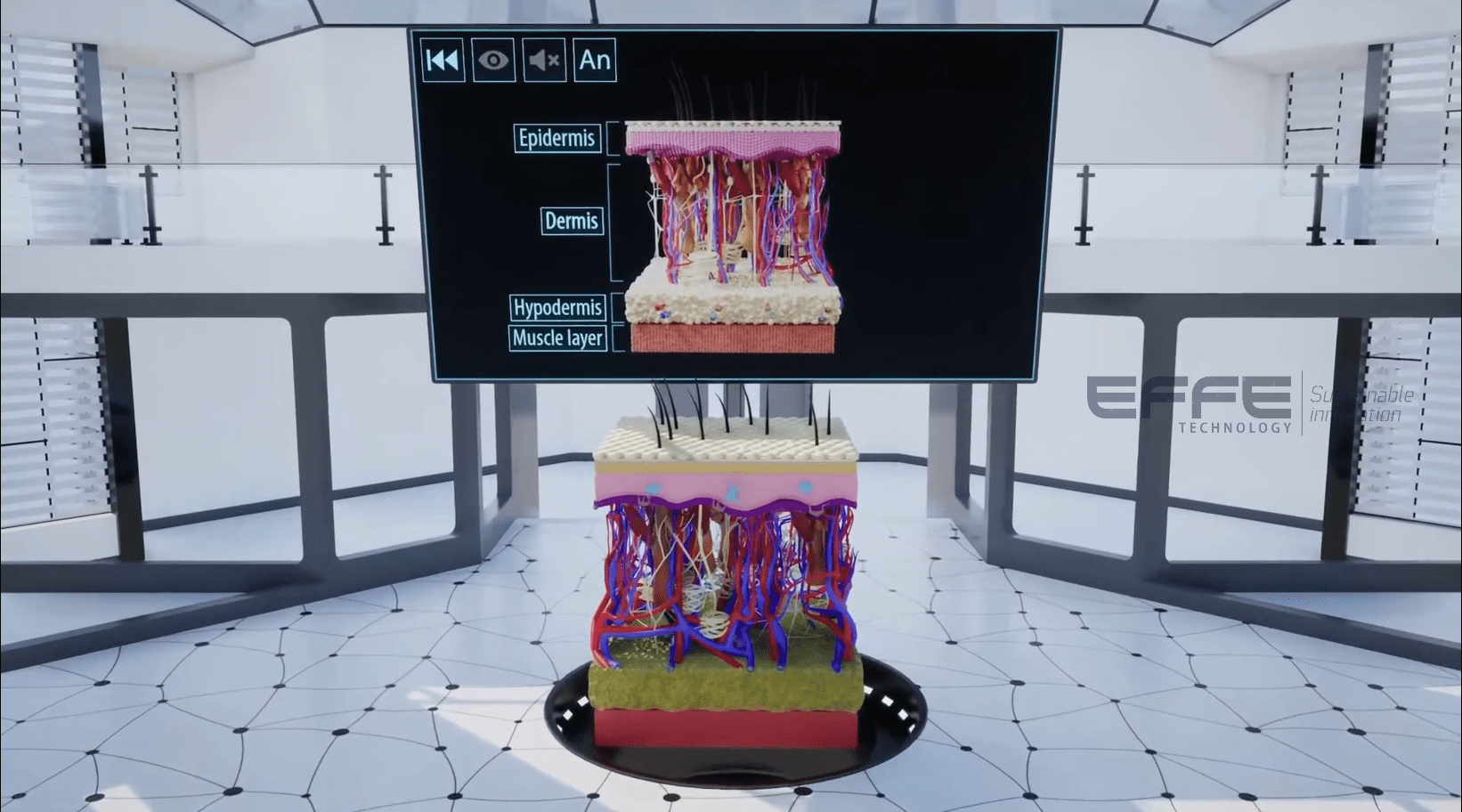 integumentary system VR