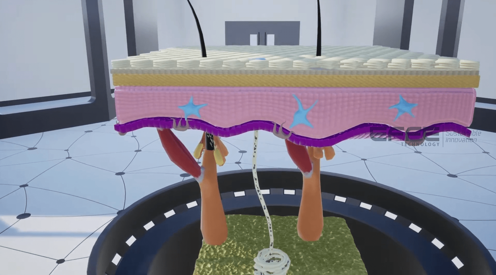 integumentary system VR