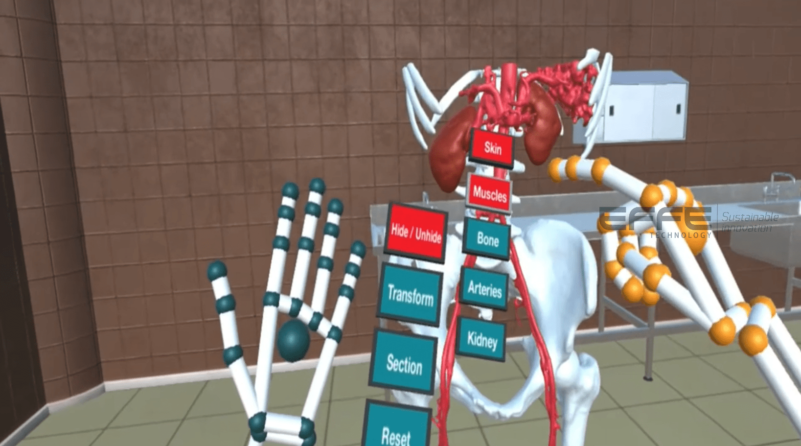 nephrology VR training