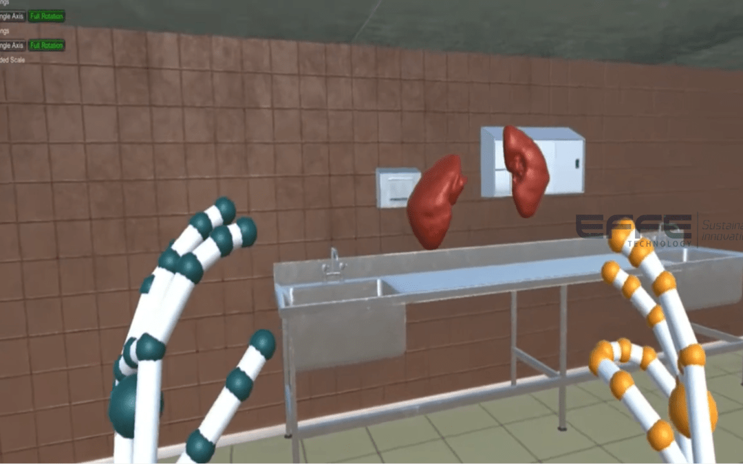 Nephrology VR Training Platform: 3D Nephron Model & Filtration Simulation for Hospitals