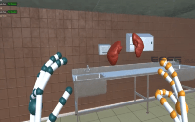 Nephrology VR Training Platform: 3D Nephron Model & Filtration Simulation for Hospitals
