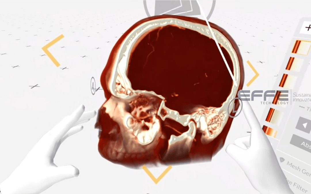 Neuroanatomy VR Training for Neuroscience Departments: Brainstem & Neural Pathway Exploration