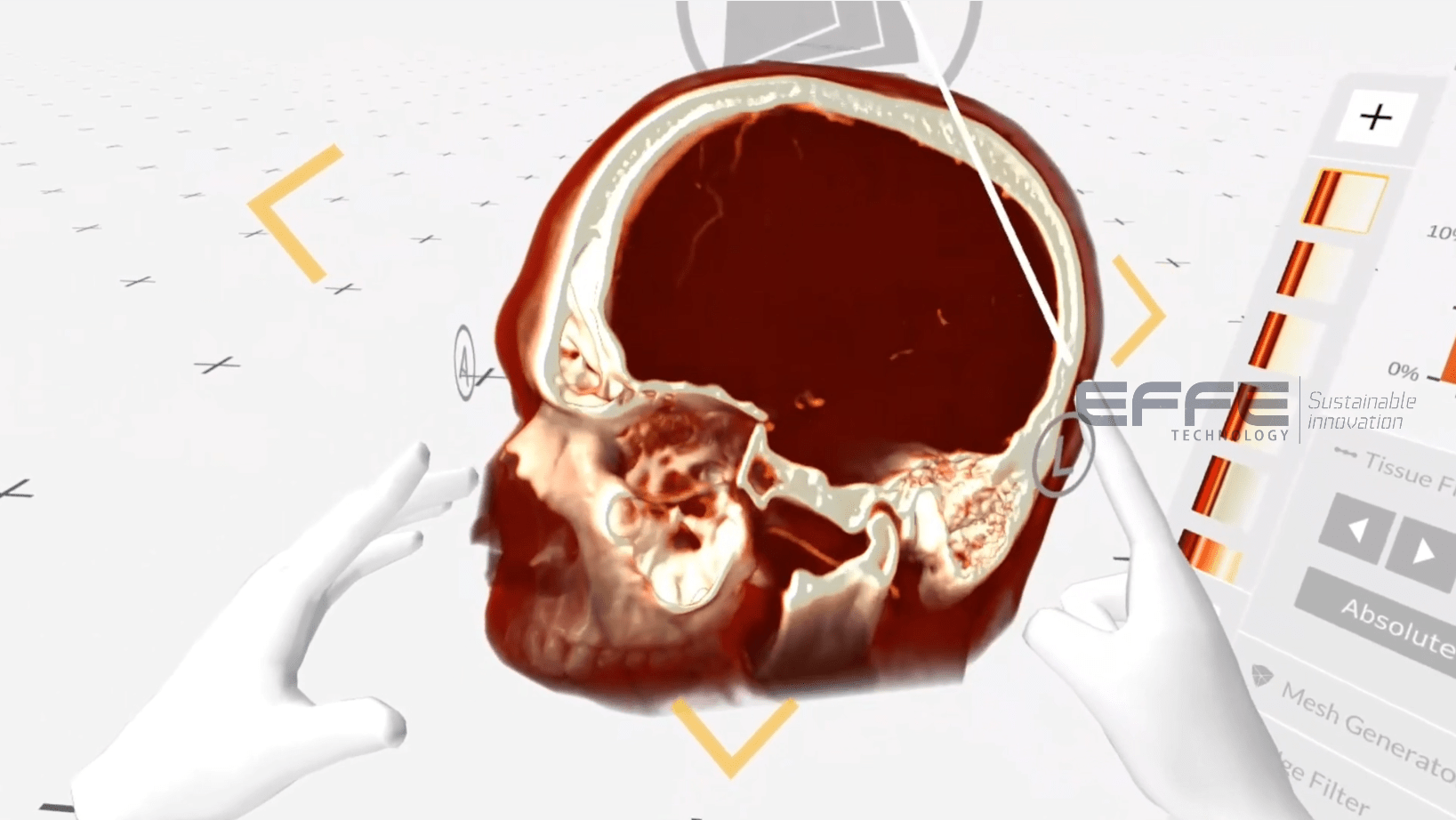 neuroanatomy VR