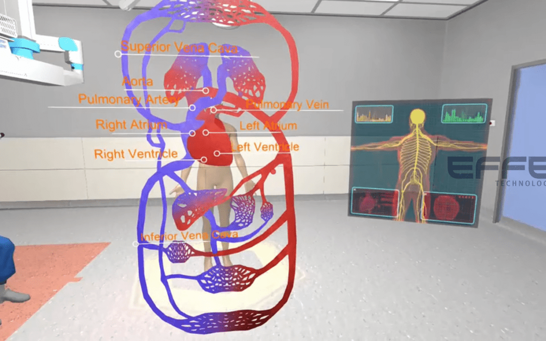 Pulmonary Circulation VR Model for Clinical Training: Interactive Lungs & Blood Flow Simulation