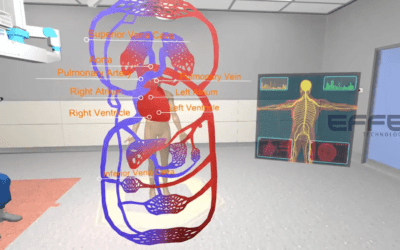 Portfolio: Pulmonary Circulation VR | Immersive 3D Lungs Training Platform