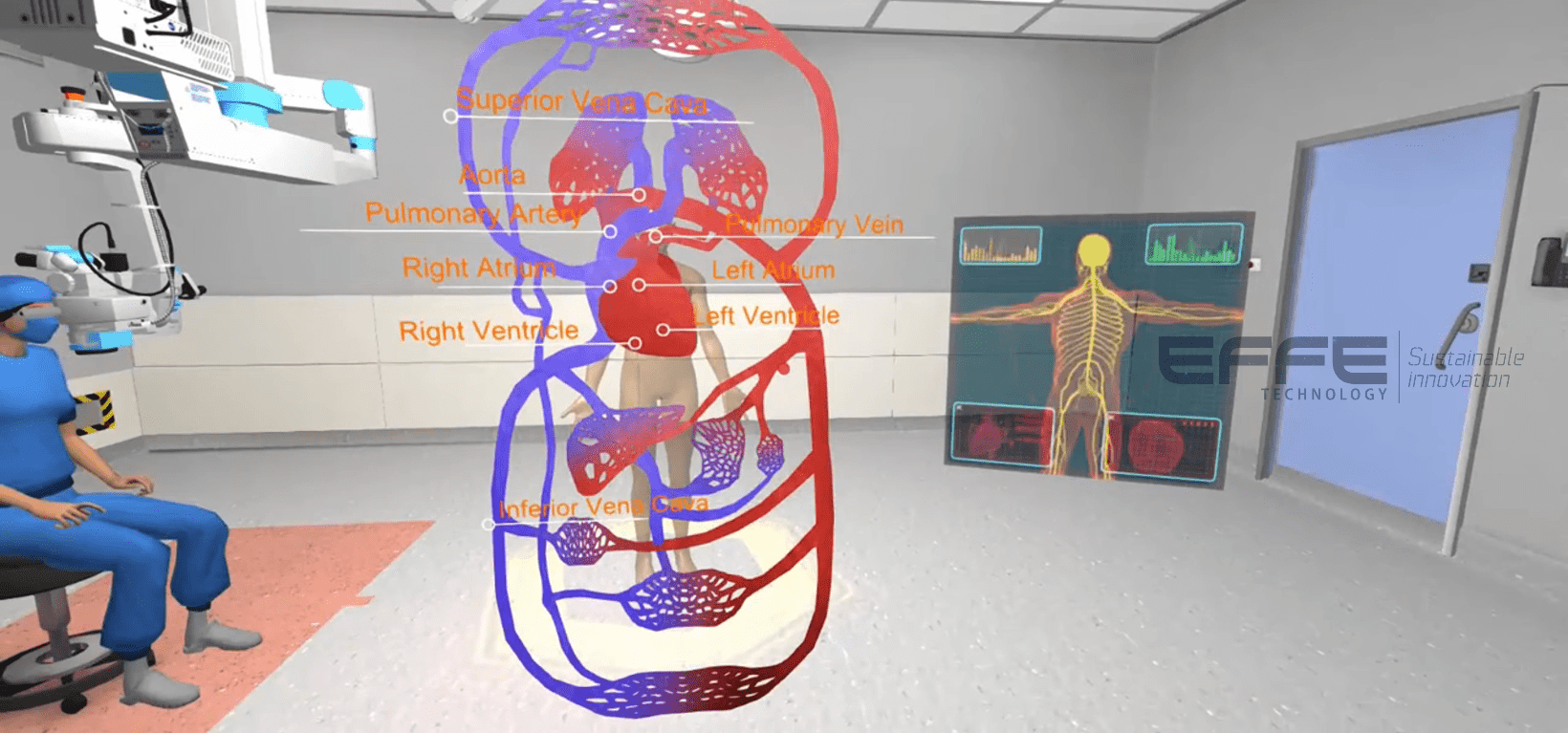 pulmonary circulation VR model