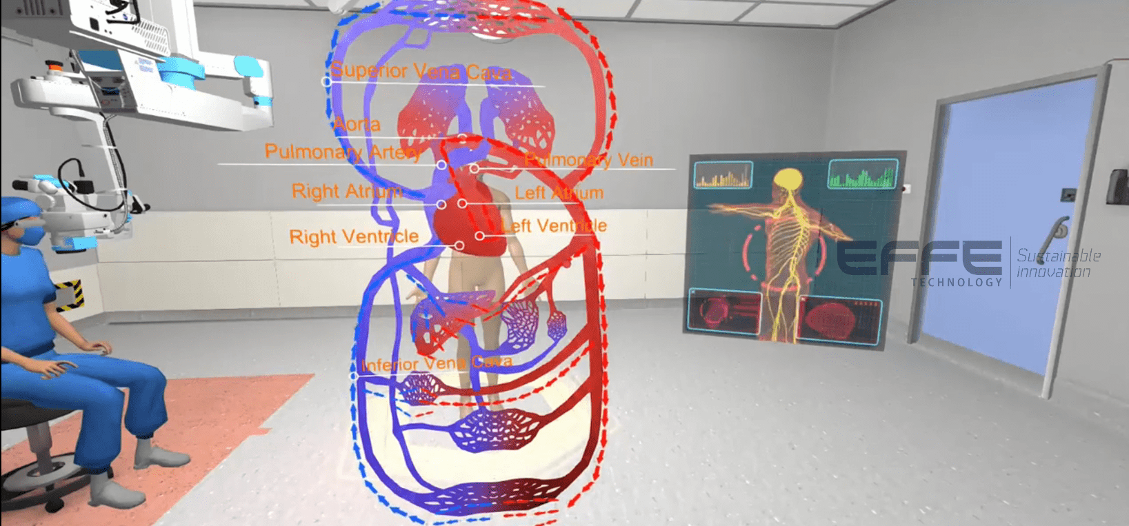 pulmonary circulation VR model