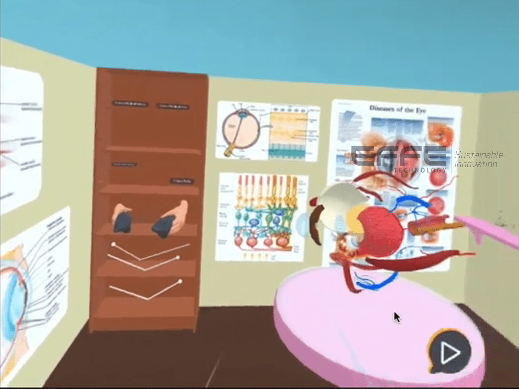 human eye anatomy VR