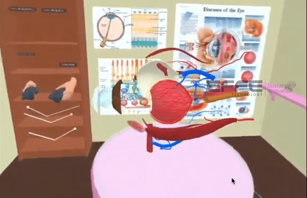 Revolutionizing Ophthalmic Anatomy Education with Human Eye Anatomy VR: Interactive 3D Eye Structure Platform