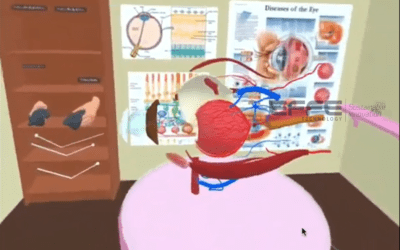 Portfolio: Human Eye Anatomy VR Platform for Ophthalmic Education & Surgical Training