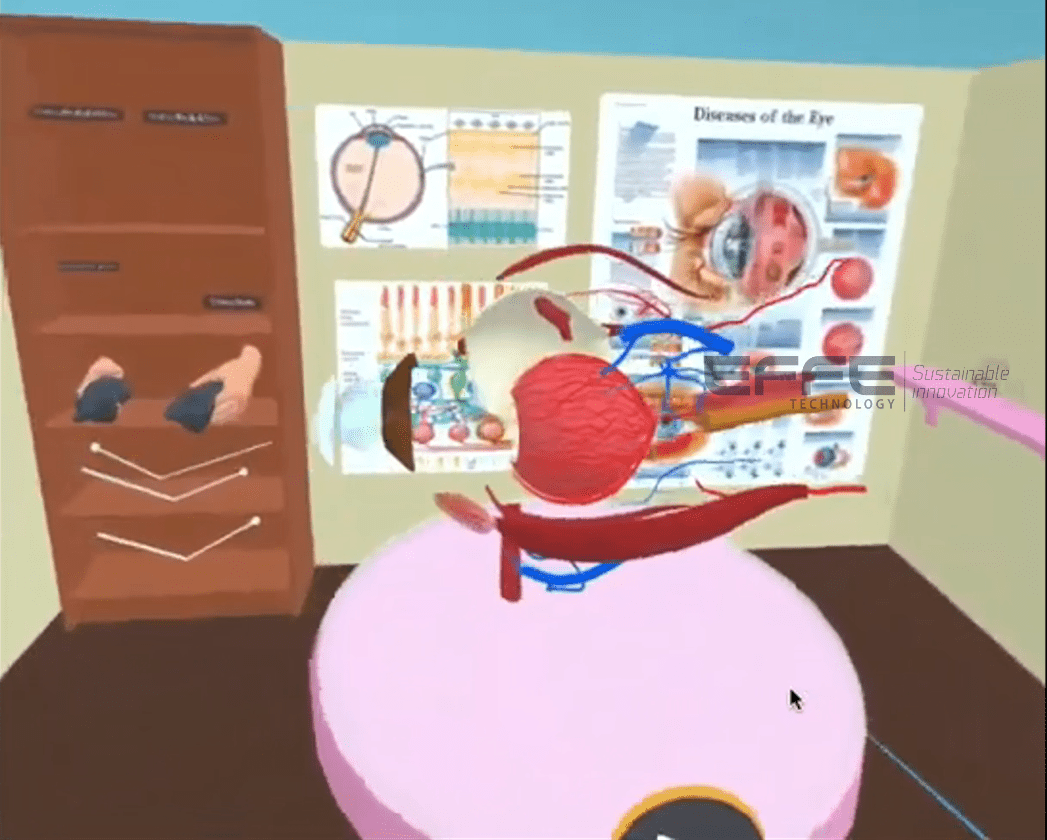 human eye anatomy VR