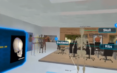 Portfolio: 3D Skeleton Anatomy VR | Interactive Orthopedic Training