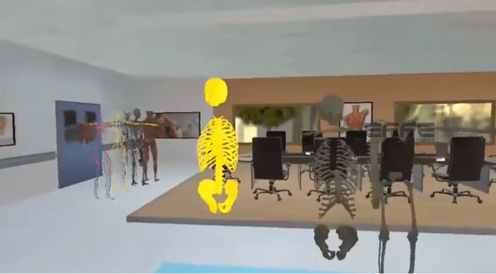 skeleton anatomy VR