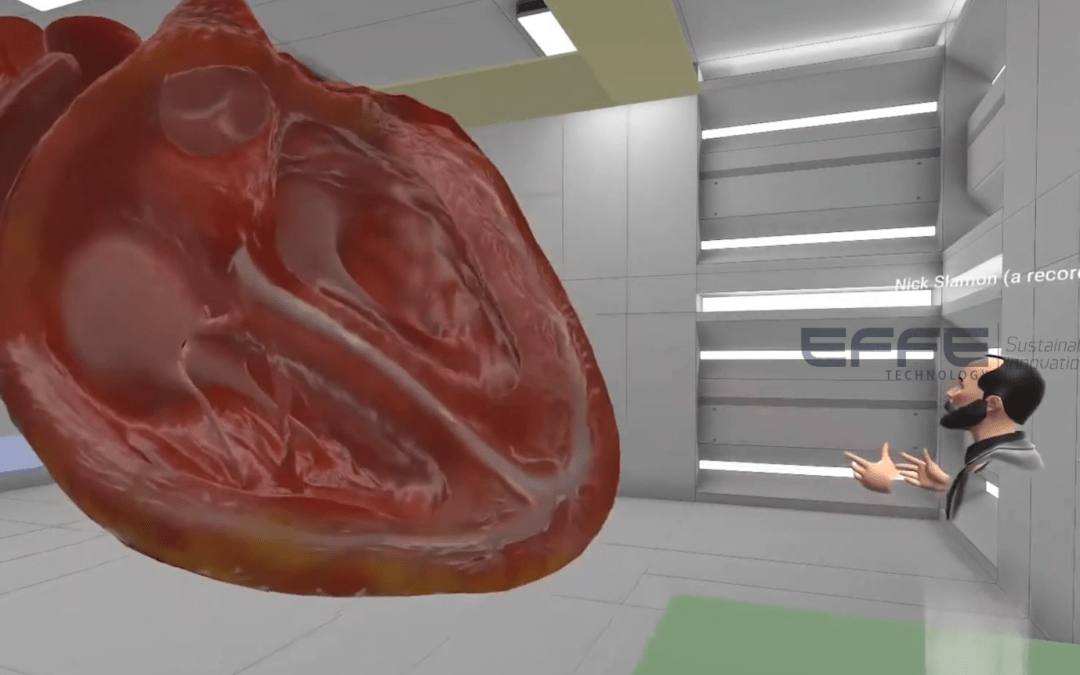 Virtual Reality Heart Anatomy Lab: Transforming Cardiology Education with 3D Simulation