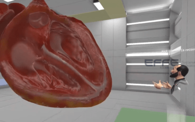 Virtual Reality Heart Anatomy Lab: Transforming Cardiology Education with 3D Simulation