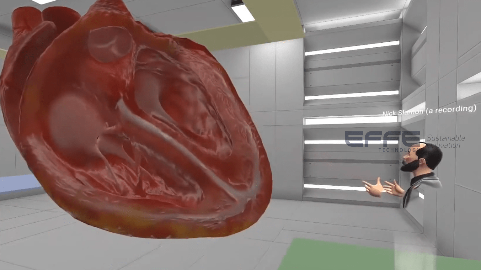 heart anatomy VR simulation