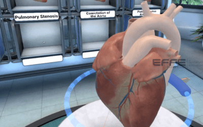 Portfolio: Cardiovascular System VR | Immersive Heart & Circulatory Simulator