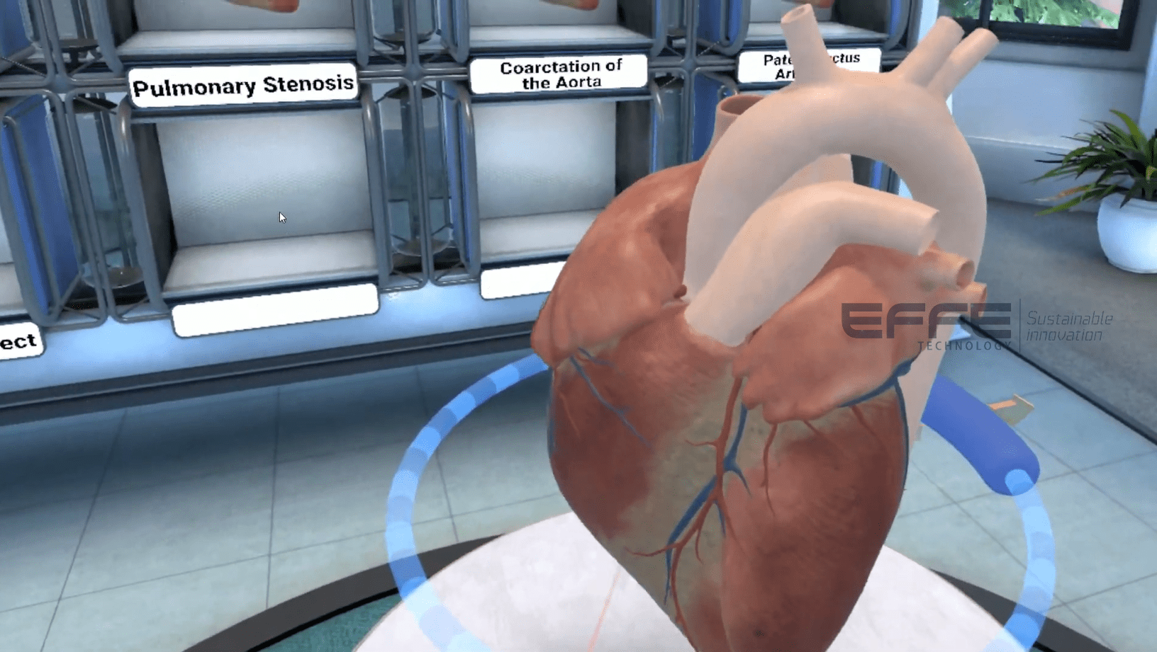 cardiovascular system VR