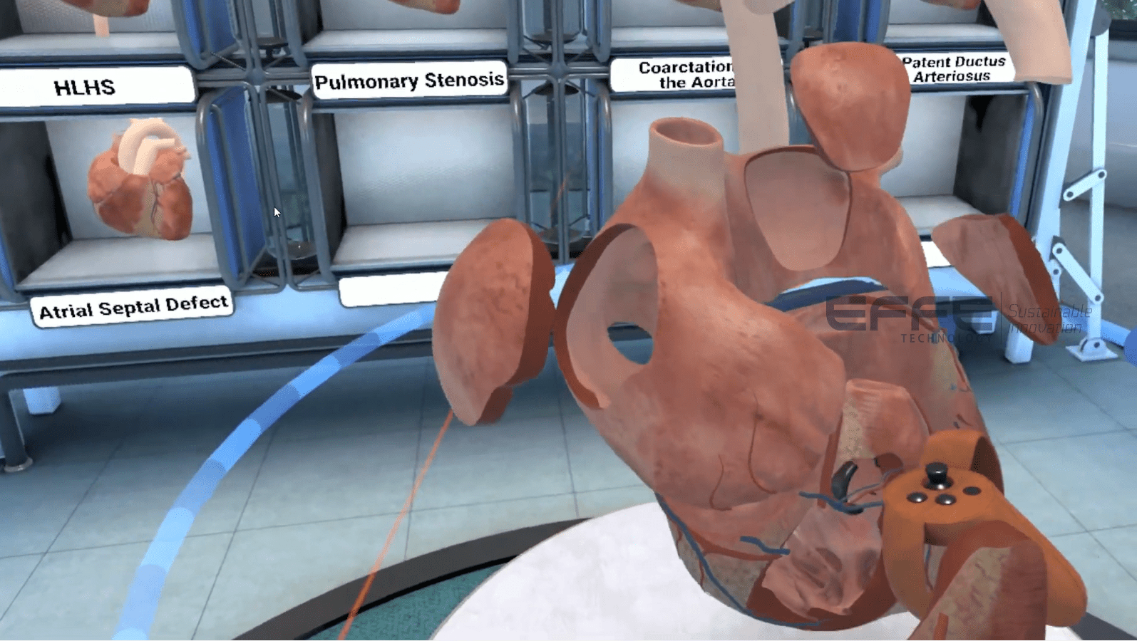 cardiovascular system VR