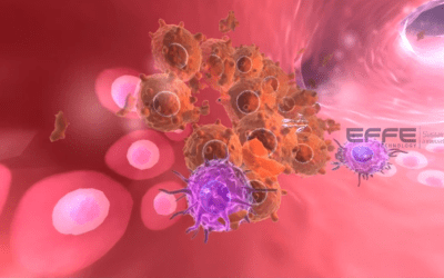 Immunotherapy VR Simulation for Pharma & Oncology Teams | Immersive Immune Checkpoint Activation VR Platform