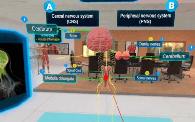 Clinical Neural Pathway VR System for Neurology Departments | Interactive Brain Circuit Simulation for Advanced Diagnosis