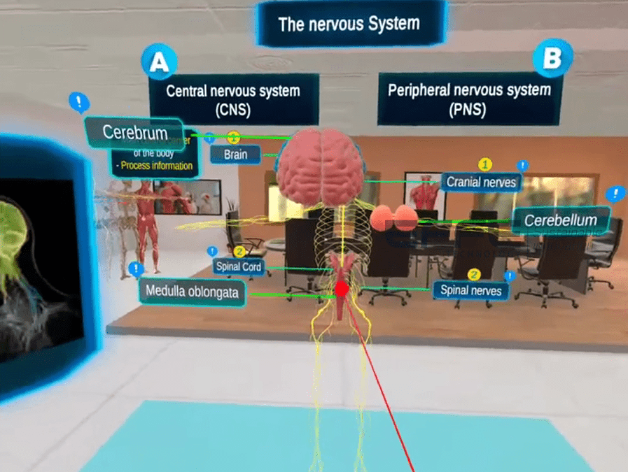 Clinical Neural Pathway VR System for Neurology Departments | Interactive Brain Circuit Simulation for Advanced Diagnosis