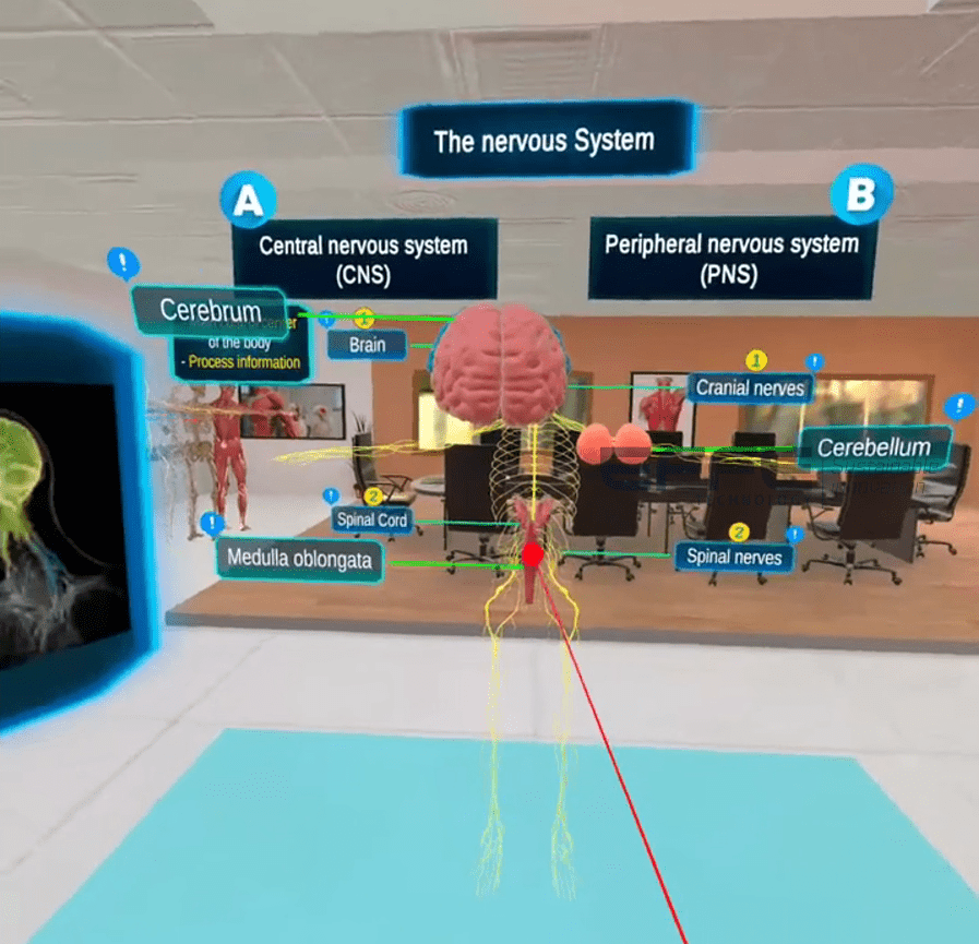 neural pathway VR