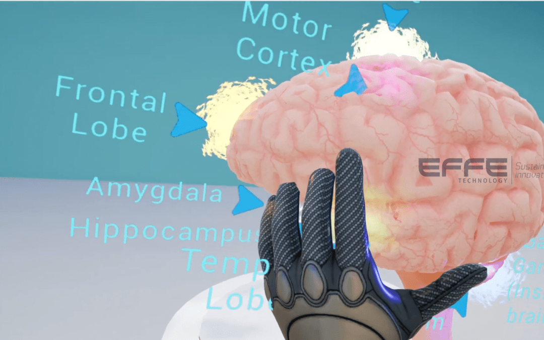 Immersive CNS VR Simulation for Neurotraining & Cognitive Enhancement | Bridging Research and Practice