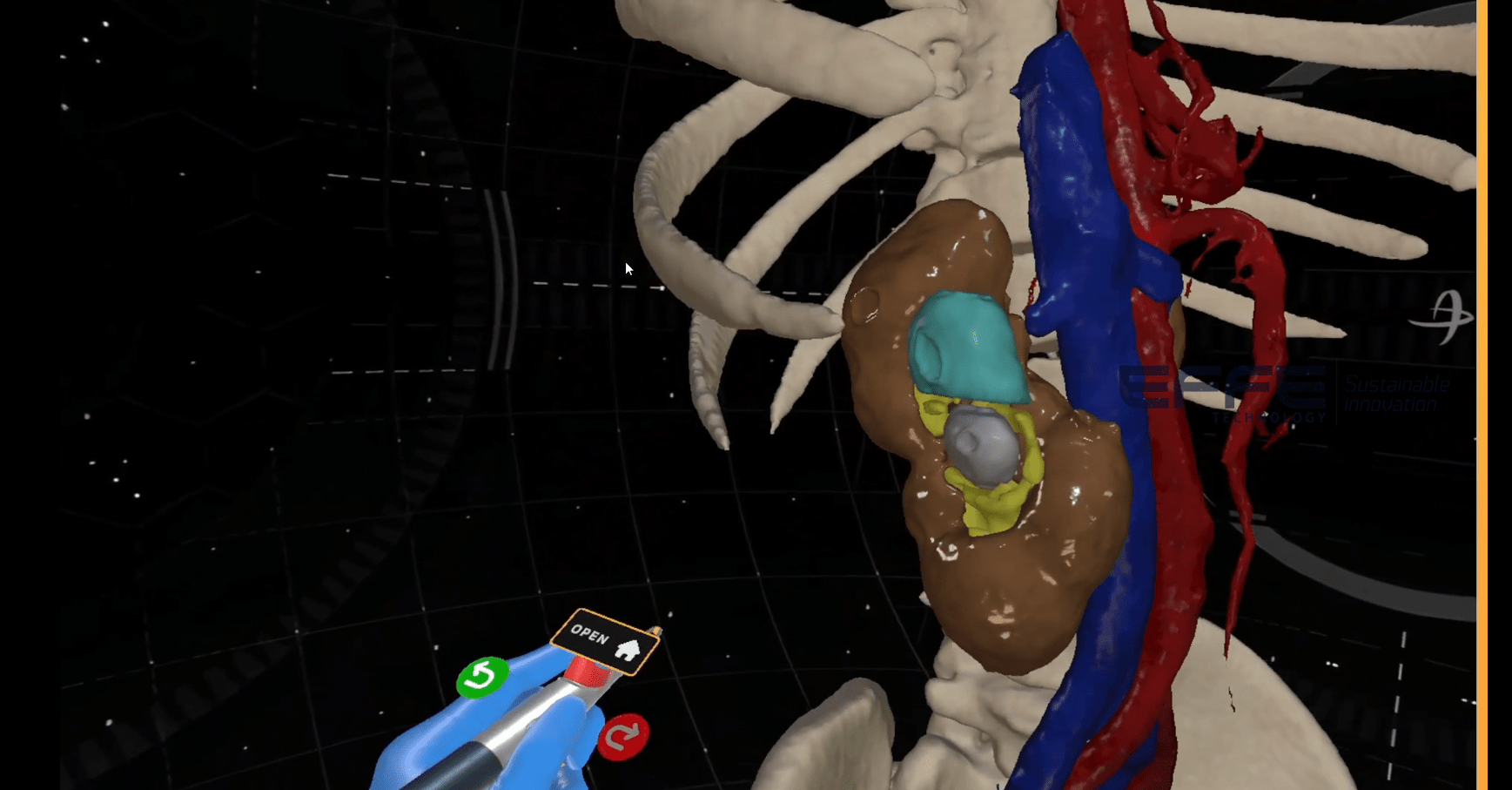 Urinary system function
