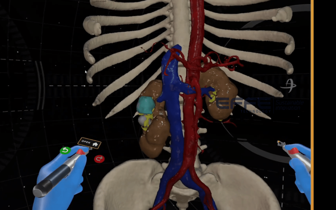 Urinary System Function Explained in VR | Interactive Anatomy & Physiology Platform for Medical Training