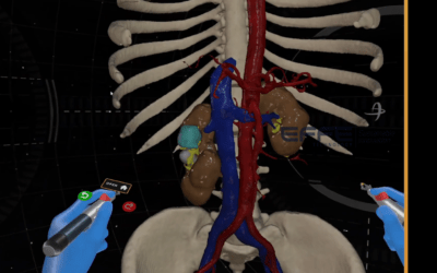 Urinary System Function Explained in VR | Interactive Anatomy & Physiology Platform for Medical Training